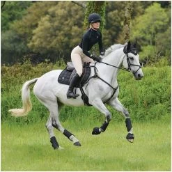 2021 Woof Wear IVent Overreach Boot WB0071 - Black Colour Black -Equestrian Products Store PiLa5nWM.700x700 1