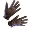 2023 Woof Wear Competition Gloves WG0122 - Chocolate Colour Chocolate -Equestrian Products Store WG012220 20Competition20Glove20Chocolate.700x700