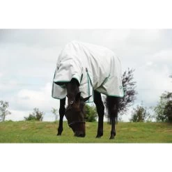 WeatherBeeta Green-Tec 900D Lite Plus Combo Neck Rug - Light Grey / Green -Equestrian Products Store WeatherBeeta20GreenTec20900D20Combo20Neck20Lite20Plus201005159020Light20Grey20Bottle20Green front.700x700