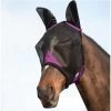 Weatherbeeta Comfitec Durable Mesh Mask With Ears - Black / Purple -Equestrian Products Store Weatherbeeta Comfitec Durable Mesh Mask With Ears Black.700x700