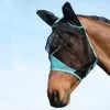 Weatherbeeta Comfitec Fine Mesh Mask With Ears - Black / Turquoise Colour Black/Turquoise -Equestrian Products Store Weatherbeeta Comfitec Fine Mesh Mask With Ears BlackTurquoise.700x700