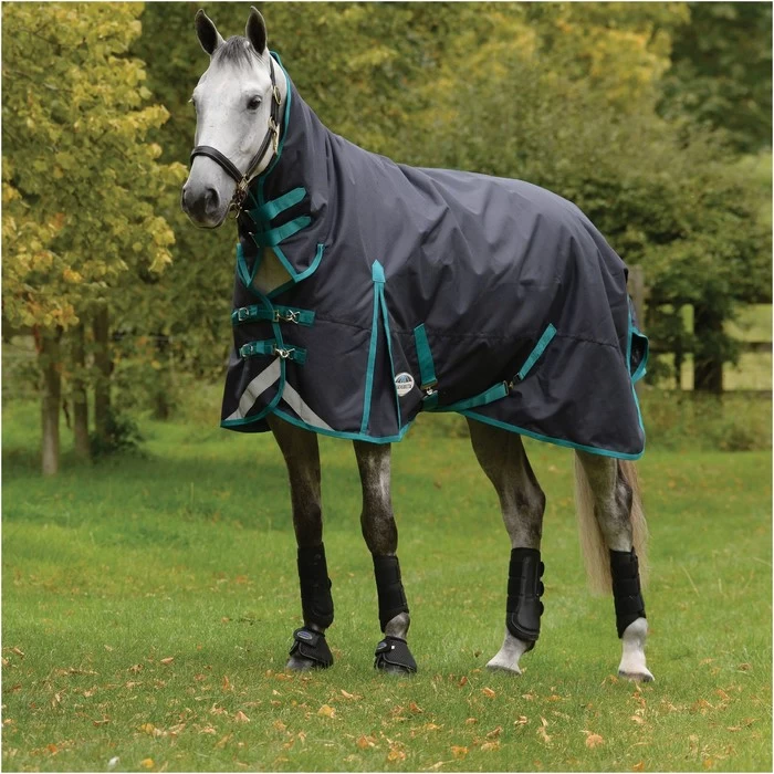 Weatherbeeta Comfitec Plus Dynamic II Medium Combo Neck Rug - Black / Aqua Colour Black/Aqua 3 Weatherbeeta Comfitec Plus Dynamic II Medium Combo Neck Rug - Black / Aqua Colour Black/Aqua