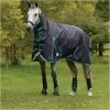 Weatherbeeta Comfitec Plus Dynamic II Medium-Lite Combo Neck Rug - Black / Aqua Colour Black/Aqua