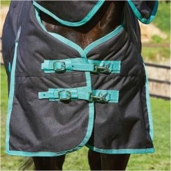 Weatherbeeta Green-Tec 900D Lite Plus Detach-A-Neck Rug - Black / Bottle Green -Equestrian Products Store Weatherbeeta20Green Tec20900D20Deatch A Neck20Lite20Plus20 20Black20Bottle20Green205.700x700