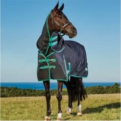 Weatherbeeta Green-Tec 900D Lite Plus Detach-A-Neck Rug - Black / Bottle Green -Equestrian Products Store Weatherbeeta20Green Tec20900D20Deatch A Neck20Lite20Plus20 20Black20Bottle20Green208.700x700