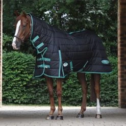 Weatherbeeta Green-Tec Medium-Lite Combo Neck Rug - Black / Green