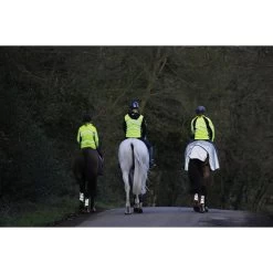 2022 Weatherbeeta Reflective Wrap Around Exercise Sheet 1004324 - Silver / Black -Equestrian Products Store Weatherbeeta20Reflective20Wrap20Around20Exercise20Sheet20Silver20Black201004324 lifestyle.700x700