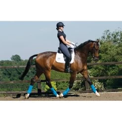 2022 Woof Wear Training Wraps WB0061 - Black / Shiraz Colour Black / Shiraz 11 2022 Woof Wear Training Wraps WB0061 - Black / Shiraz Colour Black / Shiraz -Equestrian Products Store Woof Wear Dressage Wraps Action.700x700