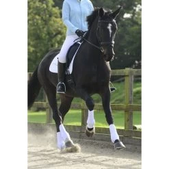 Equilibrium Stretch & Flex Training Wraps White -Equestrian Products Store equilibrium stretch flex training wraps white eqb0500 worn.700x700