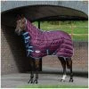 2022 Weatherbeeta Comfitec 210D Channel Quilt Combo Neck Medium Rug 10004380 - Grape Purple / Blue -Equestrian Products Store media 494a8d0b 75cb 4744 b8e6 77bacd04d3ed 1200x.700x700
