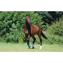 Woof Wear Medical Hoof Boot Blue -Equestrian Products Store medical20feild.700x700