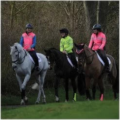 2022 Weatherbeeta Unisex Reflective Lightweight Waterproof Jacket With FREE Reflective Ear Bonnet - Hi Vis Yellow -Equestrian Products Store weatherbeeta reflective lightweight waterproof jacket hi vis yellow 5B35D 71810 p.700x700