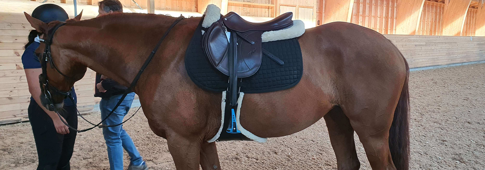 Equestrian Products Store -Equestrian Products Store 1